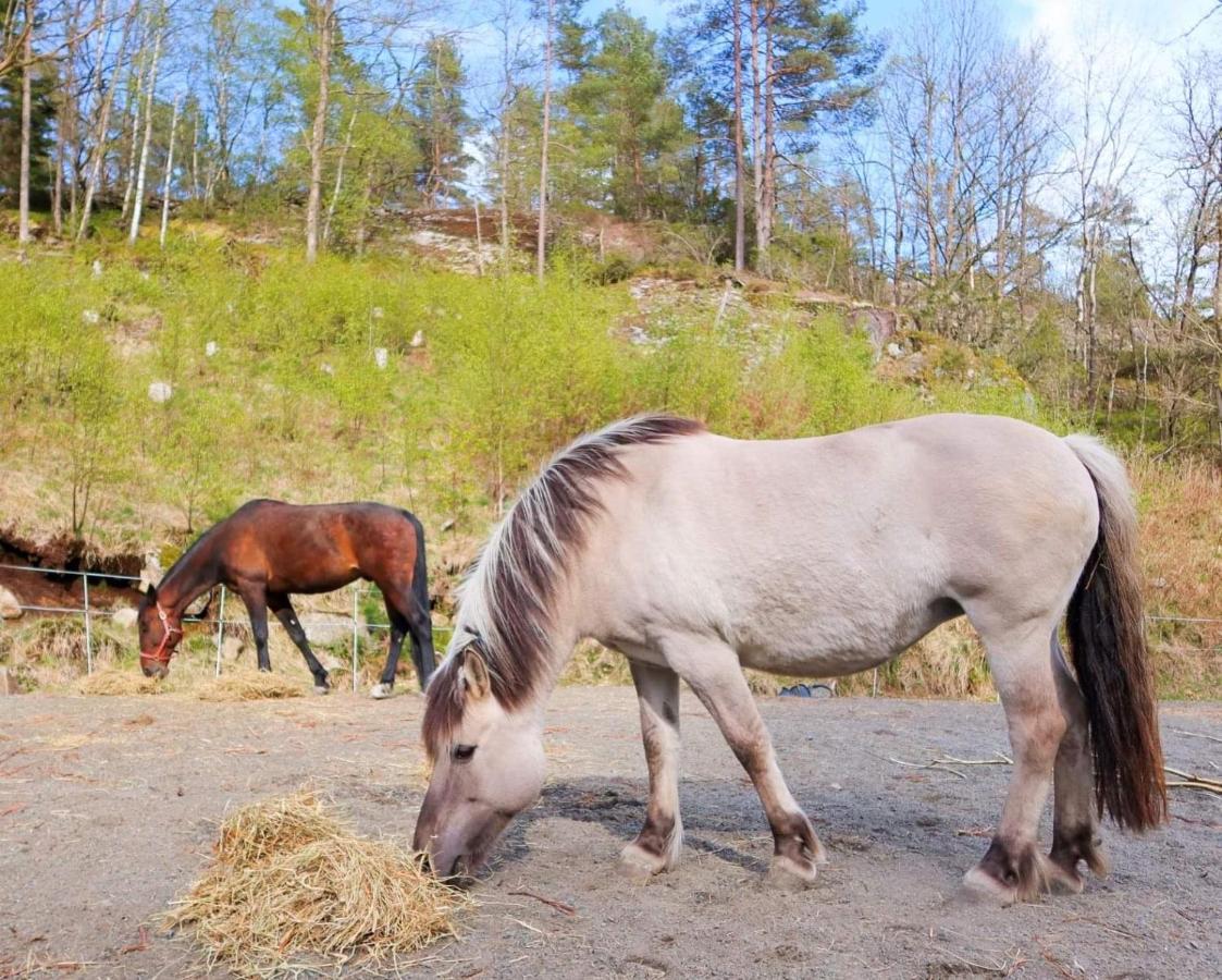 Fosseland Gjestegard Feda Экстерьер фото